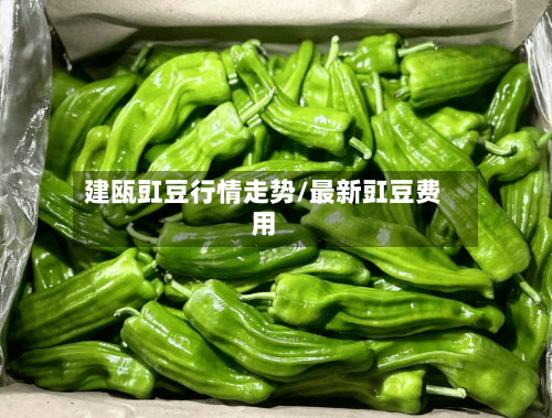 建瓯豇豆行情走势/最新豇豆费用-第3张图片