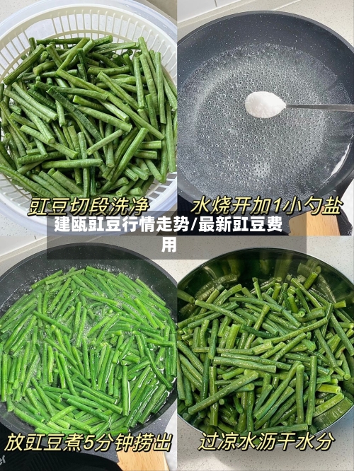 建瓯豇豆行情走势/最新豇豆费用-第2张图片