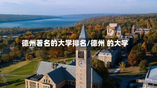 德州著名的大学排名/德州 的大学-第2张图片