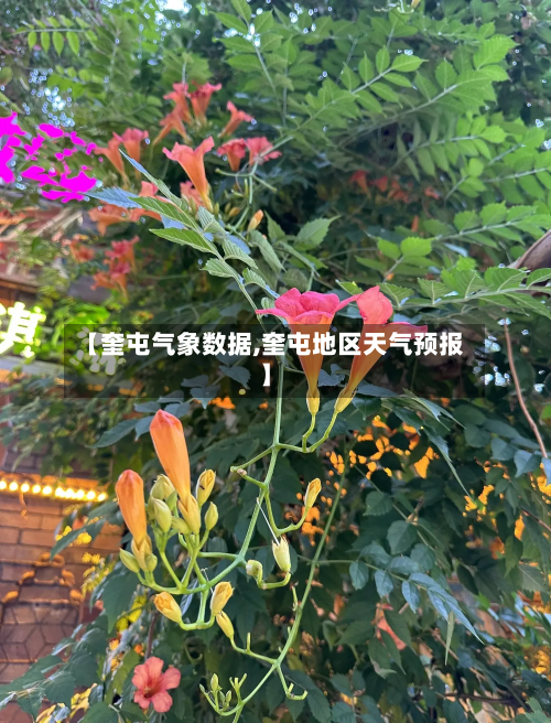 【奎屯气象数据,奎屯地区天气预报】