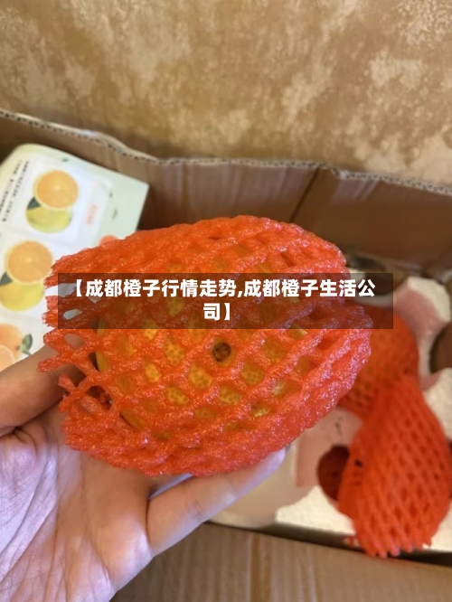 【成都橙子行情走势,成都橙子生活公司】-第3张图片