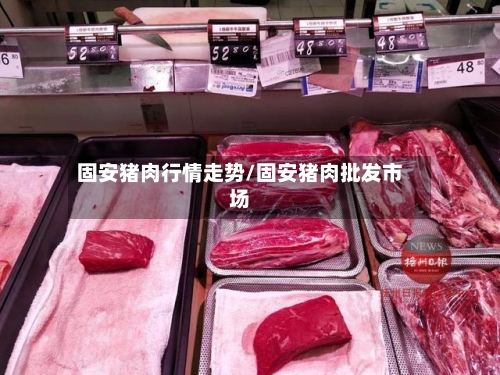 固安猪肉行情走势/固安猪肉批发市场