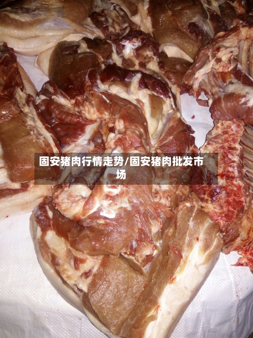 固安猪肉行情走势/固安猪肉批发市场-第3张图片