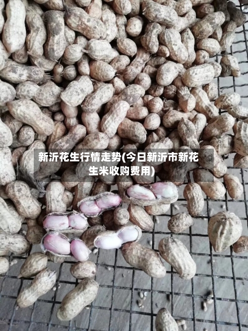 新沂花生行情走势(今日新沂市新花生米收购费用)-第3张图片