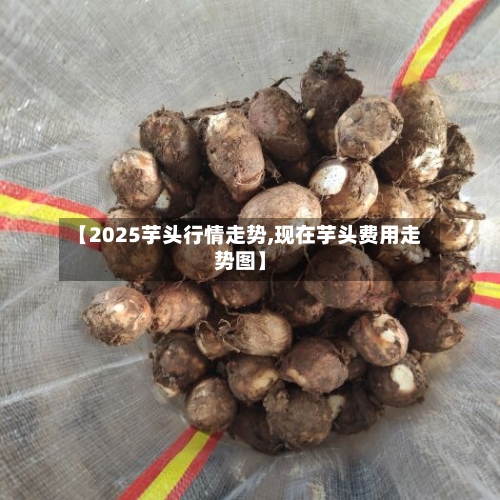 【2025芋头行情走势,现在芋头费用走势图】-第2张图片