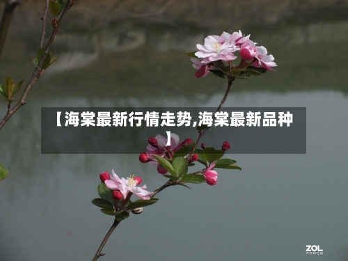 【海棠最新行情走势,海棠最新品种】-第2张图片