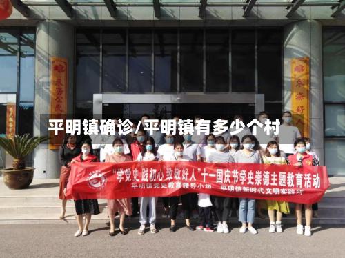 平明镇确诊/平明镇有多少个村-第3张图片