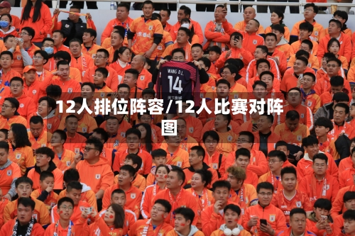 12人排位阵容/12人比赛对阵图-第1张图片