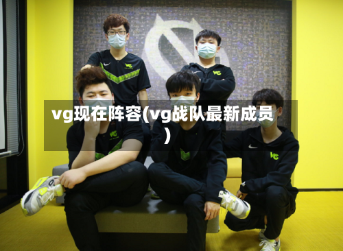 vg现在阵容(vg战队最新成员)
