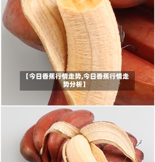 【今日香蕉行情走势,今日香蕉行情走势分析】-第2张图片