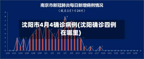 沈阳市4月4确诊病例(沈阳确诊四例在哪里)