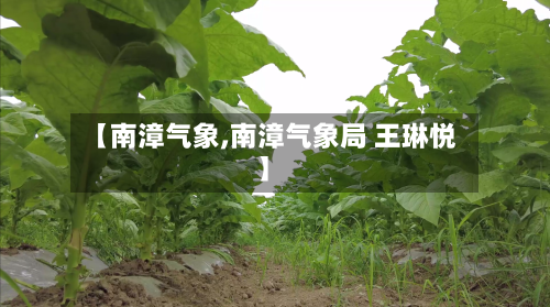 【南漳气象,南漳气象局 王琳悦】