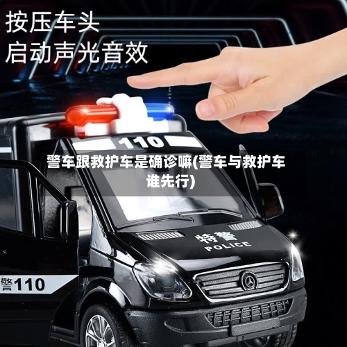 警车跟救护车是确诊嘛(警车与救护车谁先行)-第3张图片