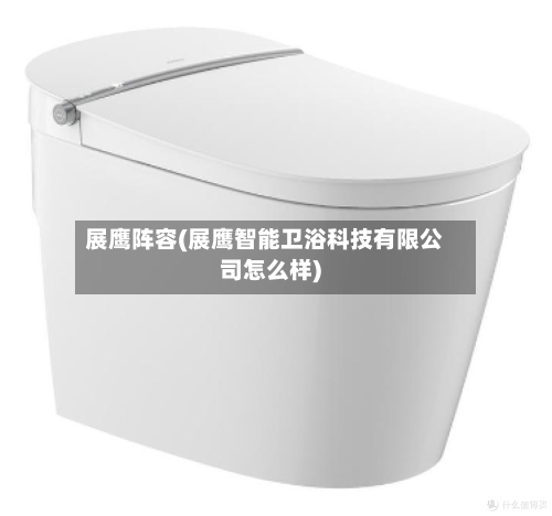 展鹰阵容(展鹰智能卫浴科技有限公司怎么样)
