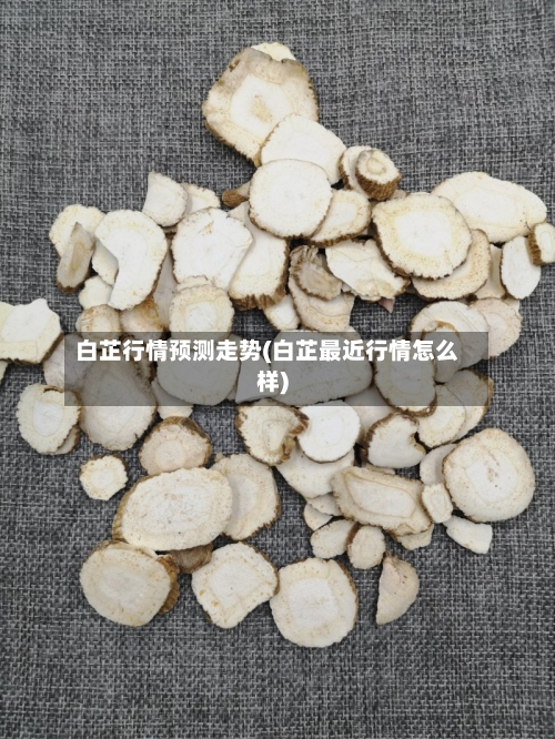 白芷行情预测走势(白芷最近行情怎么样)