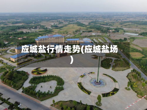 应城盐行情走势(应城盐场)