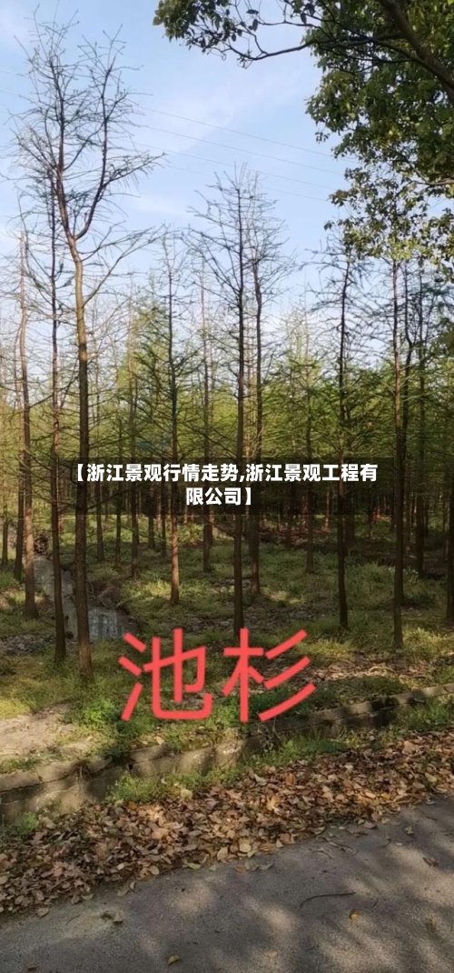 【浙江景观行情走势,浙江景观工程有限公司】-第3张图片