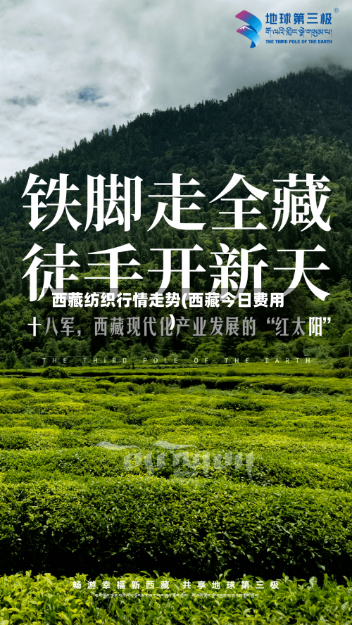 西藏纺织行情走势(西藏今日费用)