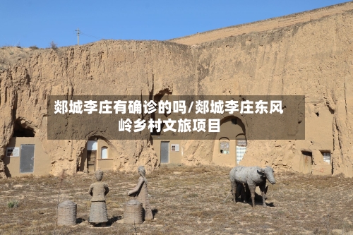 郯城李庄有确诊的吗/郯城李庄东风岭乡村文旅项目-第2张图片