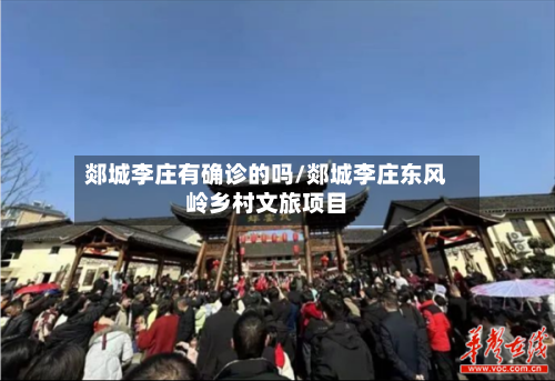 郯城李庄有确诊的吗/郯城李庄东风岭乡村文旅项目