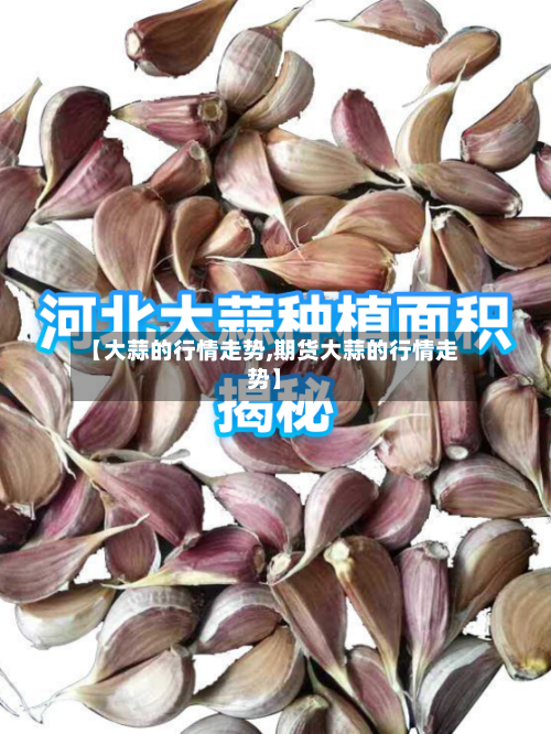 【大蒜的行情走势,期货大蒜的行情走势】