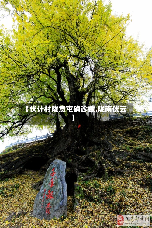 【伏计村陇意屯确诊数,陇南伏云】