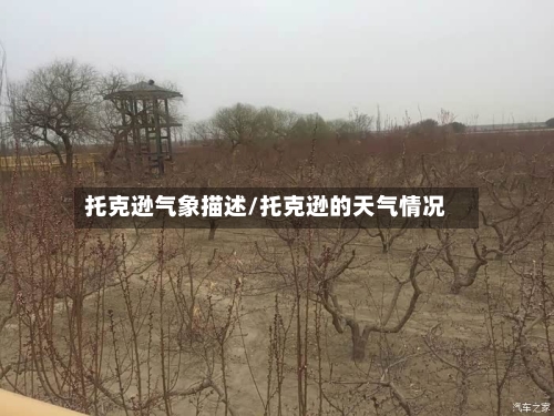 托克逊气象描述/托克逊的天气情况