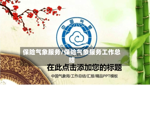 保险气象服务/保险气象服务工作总结-第3张图片