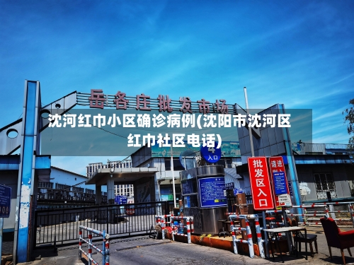 沈河红巾小区确诊病例(沈阳市沈河区红巾社区电话)