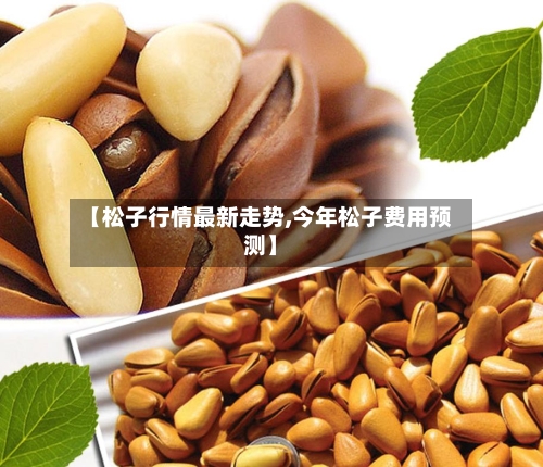【松子行情最新走势,今年松子费用预测】-第2张图片