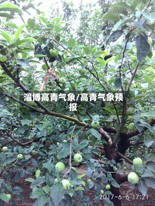 淄博高青气象/高青气象预报