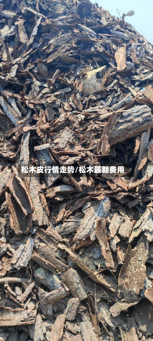 松木皮行情走势/松木最新费用-第2张图片