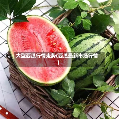 大型西瓜行情走势(西瓜最新市场行情)-第2张图片