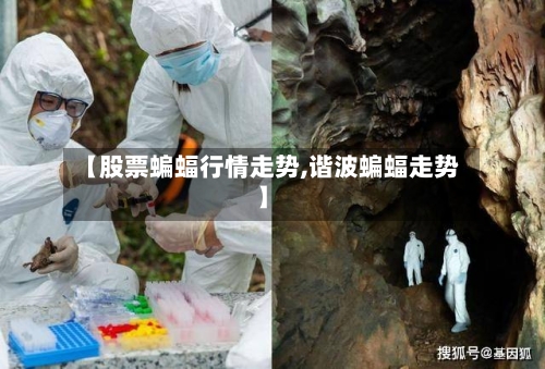 【股票蝙蝠行情走势,谐波蝙蝠走势】-第2张图片