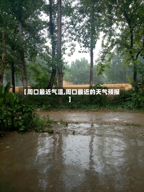 【周口最近气温,周口最近的天气预报】
