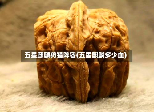 五星麒麟狩猎阵容(五星麒麟多少血)