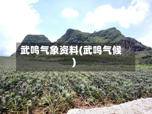 武鸣气象资料(武鸣气候)