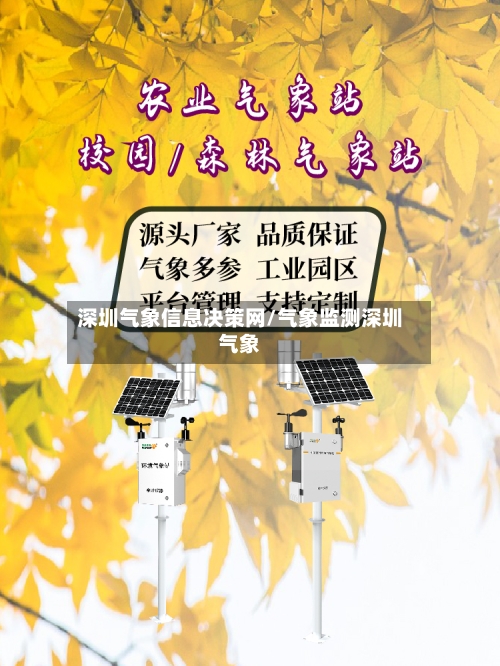 深圳气象信息决策网/气象监测深圳气象