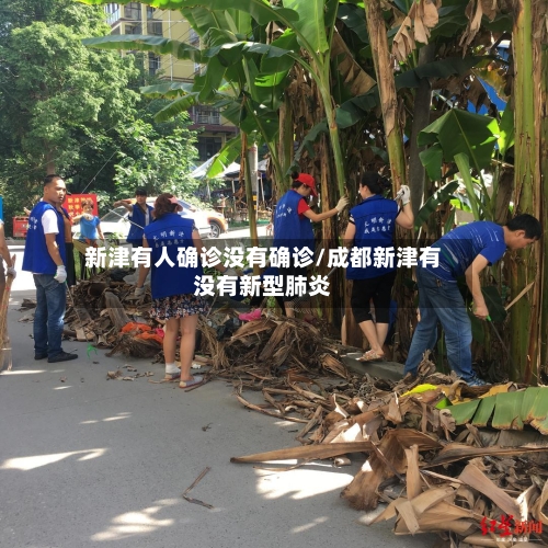 新津有人确诊没有确诊/成都新津有没有新型肺炎-第2张图片