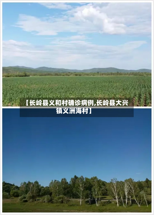 【长岭县义和村确诊病例,长岭县大兴镇义洲海村】