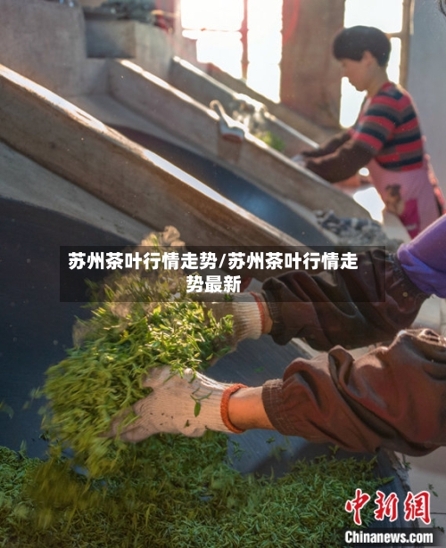 苏州茶叶行情走势/苏州茶叶行情走势最新-第2张图片