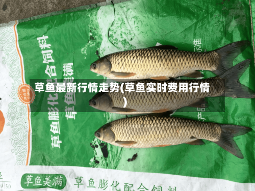 草鱼最新行情走势(草鱼实时费用行情)