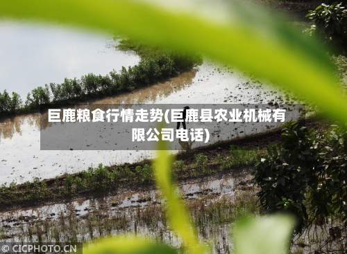 巨鹿粮食行情走势(巨鹿县农业机械有限公司电话)-第2张图片