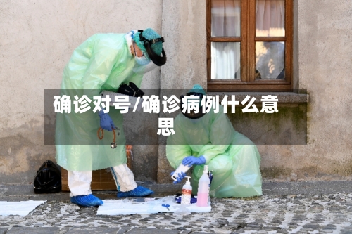 确诊对号/确诊病例什么意思